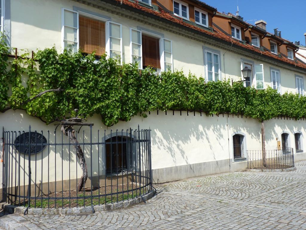Guest House Pikapolonca Maribor Kültér fotó
